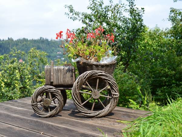 Agroturystyka SKAŁKA