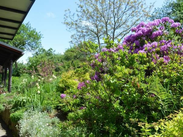 Agroturystyka SKAŁKA