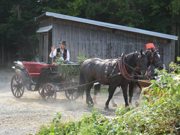 Agroturystyka SKAŁKA