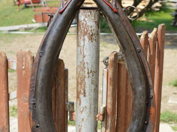 Agroturystyka SKAŁKA