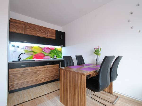 Apartament Masovia & Koja