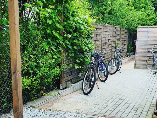 Dom Wypoczynkowy Oliwka 