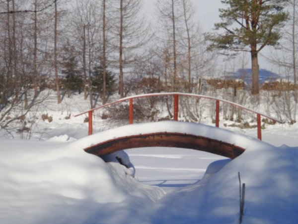 Uroczy Staw w Bieszczadach