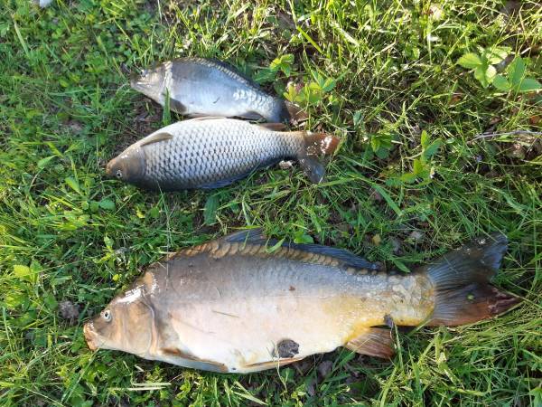 Uroczy Staw w Bieszczadach