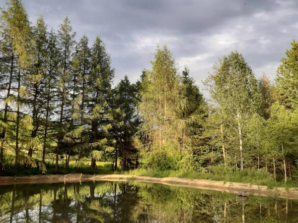 Uroczy Staw w Bieszczadach