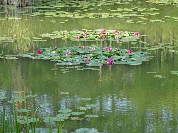 Uroczy Staw w Bieszczadach