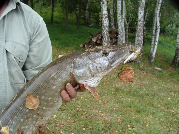 Uroczy Staw w Bieszczadach