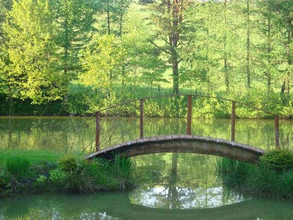 Uroczy Staw w Bieszczadach