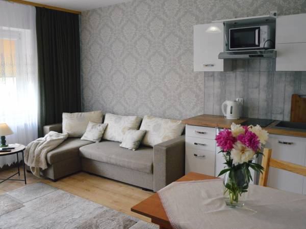 aneks kuchenny w apartamencie