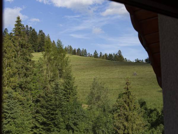 MC82 Anna i Marek Łukaszczyk