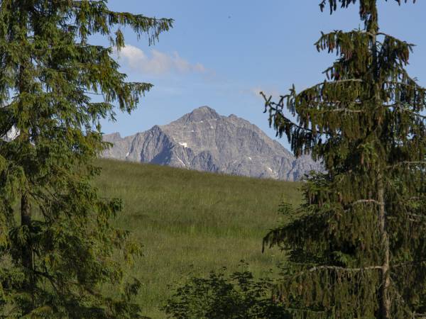 MC82 Anna i Marek Łukaszczyk