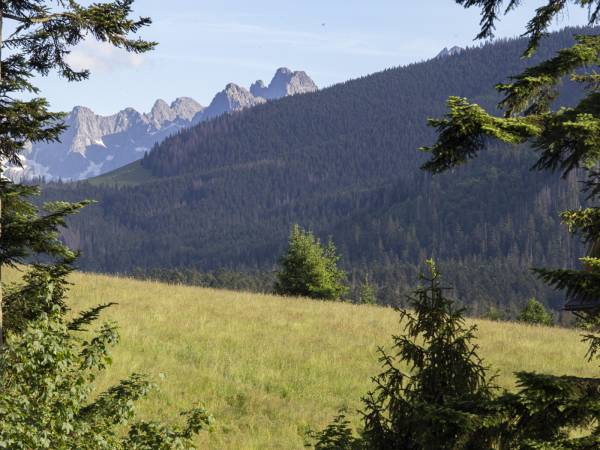 MC82 Anna i Marek Łukaszczyk