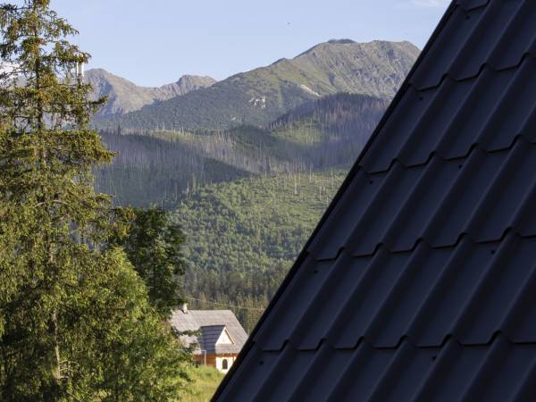 MC82 Anna i Marek Łukaszczyk