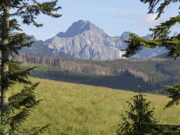 MC82 Anna i Marek Łukaszczyk