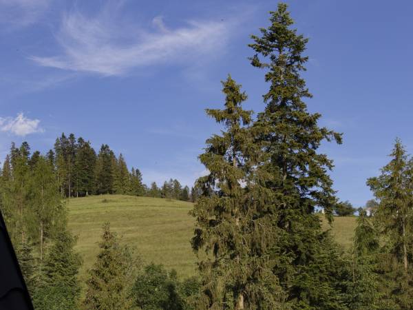 MC82 Anna i Marek Łukaszczyk