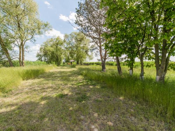 Pensjonat Baltic Willa