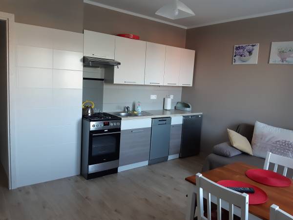 Mieszkanie nr 1 - salon z aneksem kuchennym