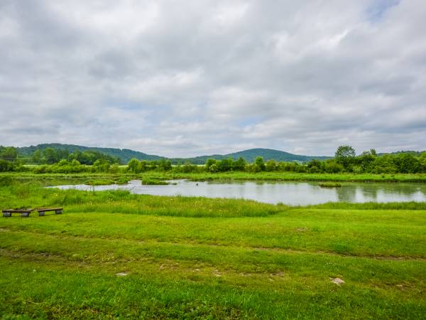 Bieszczadzki Zakamarek