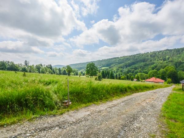 Dom u Julii nad Strwiążem