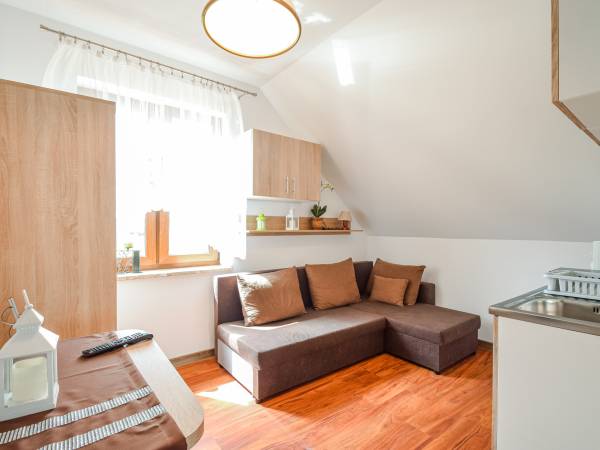 Salon apartament na poddaszu