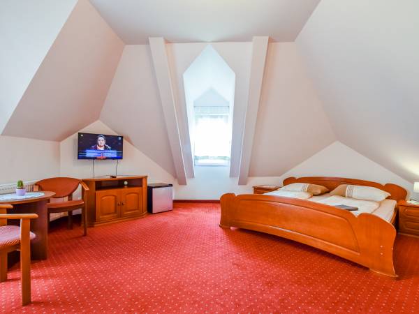 Pokój Nr 4 Taras, widok na Śnieżkę