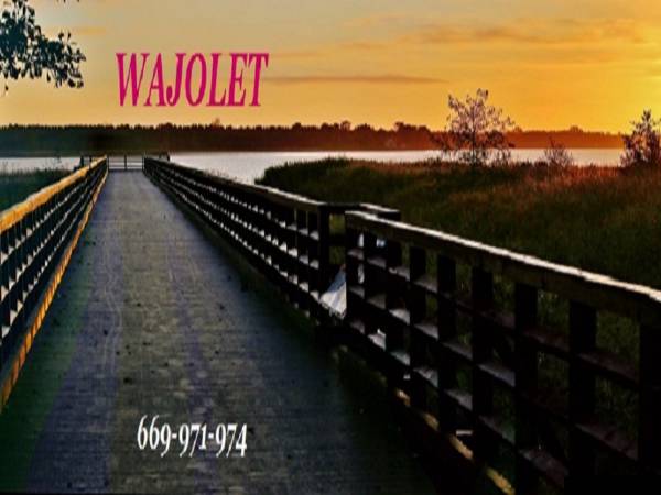 Pokoje Gościnne Wajolet