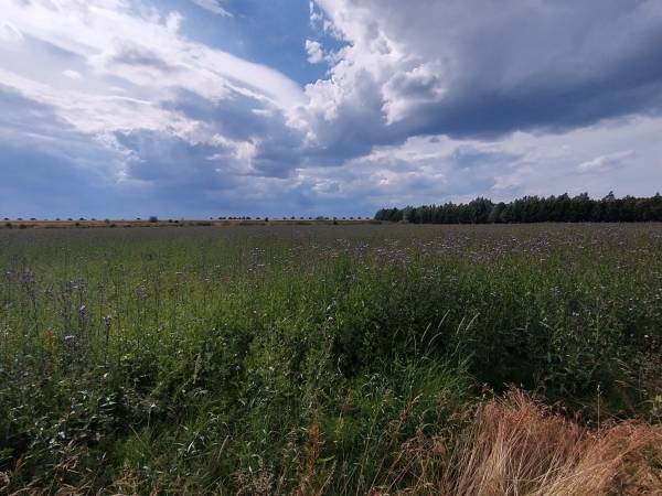 Mikoszewo wczasy nad morzem