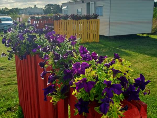 MarCITY GĄSKI Domki Holenderskie