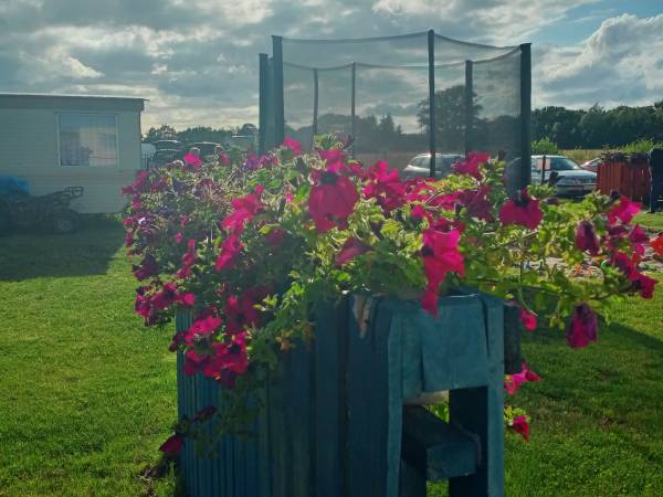 MarCITY GĄSKI Domki Holenderskie