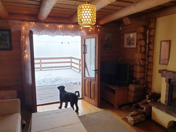 wyjście na taras z salonu