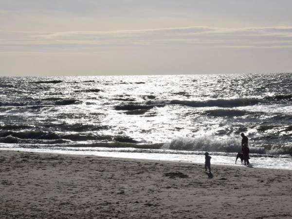 Apartamenty Monokini