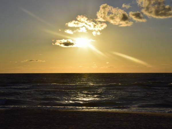 Apartamenty Monokini