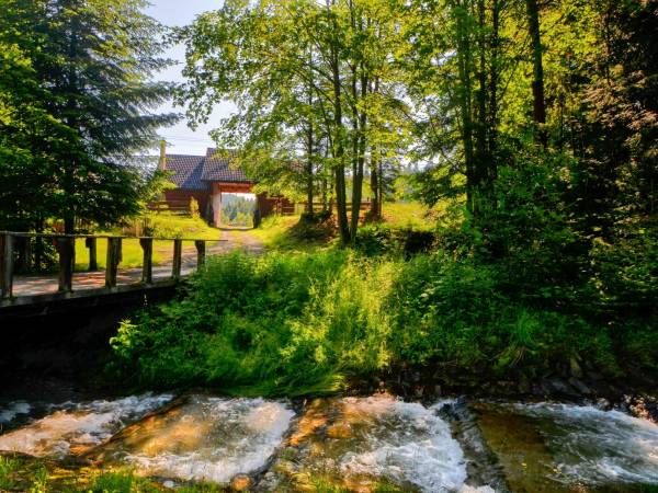 Domki Całoroczne Na Borach