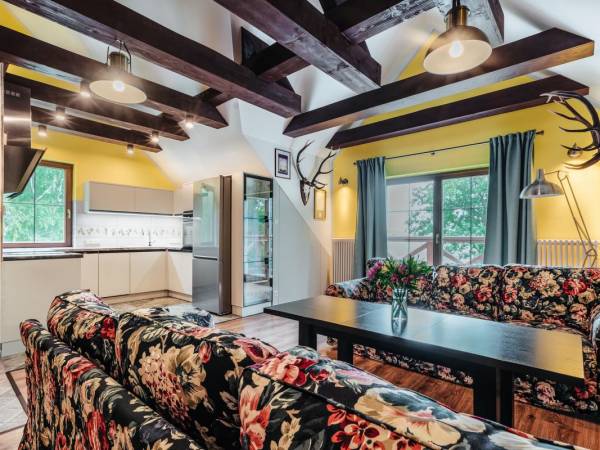 salon z aneksem kuchennym