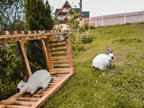 Pokoje u Danuty Łukaszczyk
