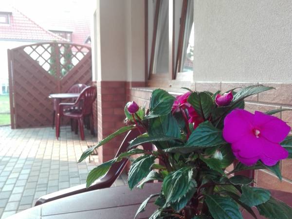 Dom Gościnny JAŚMIN