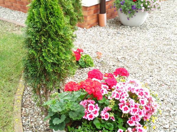 Dom Gościnny JAŚMIN