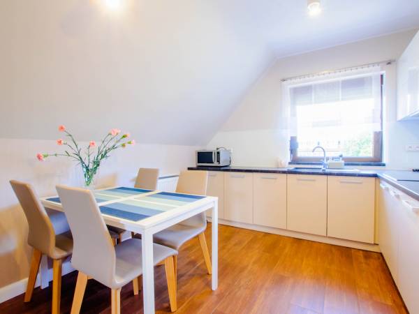 Apartament z balkonem-kuchnia