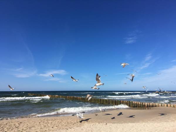 Astoria Usługi Hotelarskie