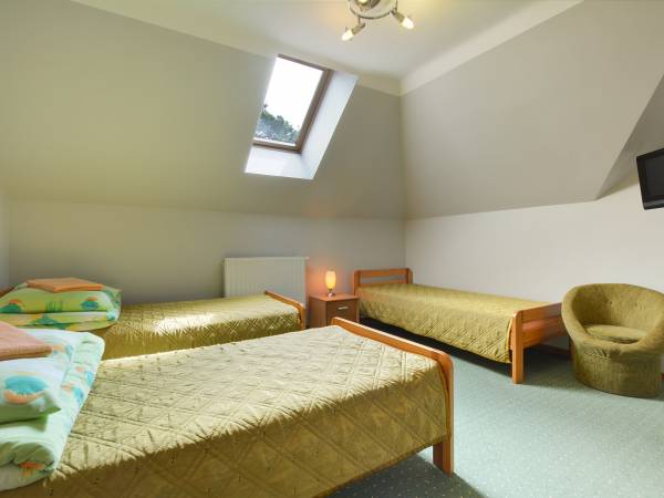 Pokoje do wynajęcia Akacja