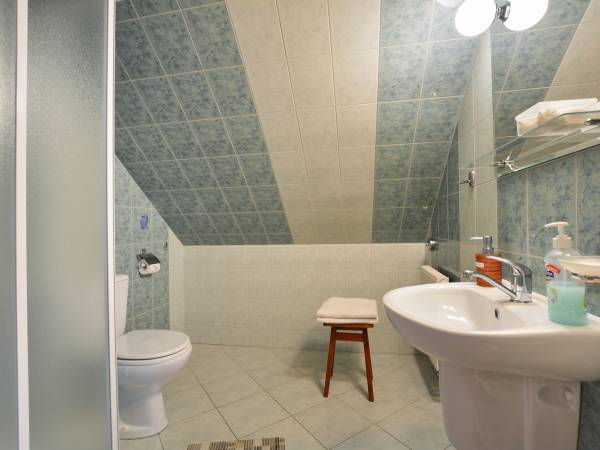 Pokoje do wynajęcia Akacja