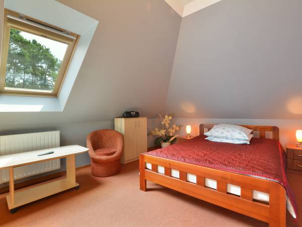 Pokoje do wynajęcia Akacja