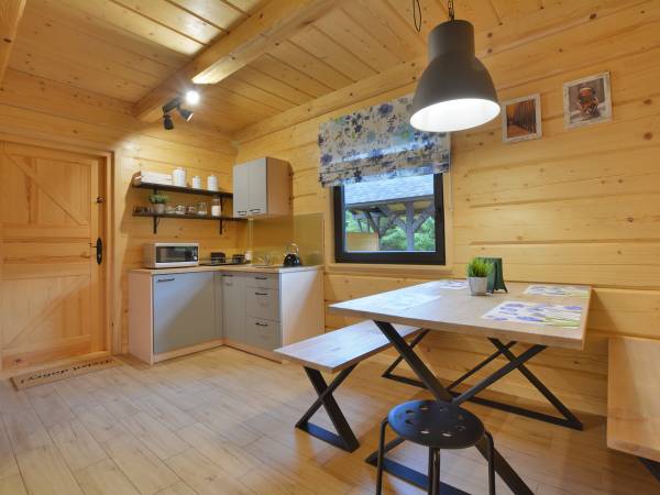 Salon z aneksem kuchennym