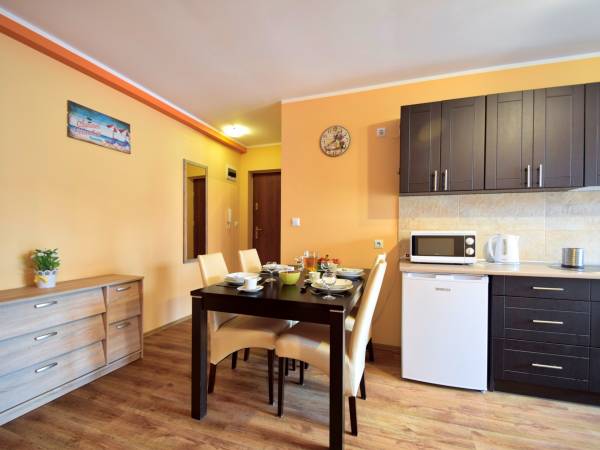 Salon z aneksem kuchennym