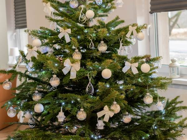 Apartamenty GoszóWita