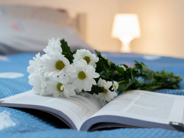 Apartamenty GoszóWita