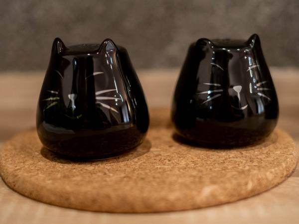 Apartamenty GoszóWita