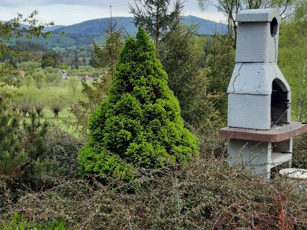 Willa Górska Sól grill i widok na góry