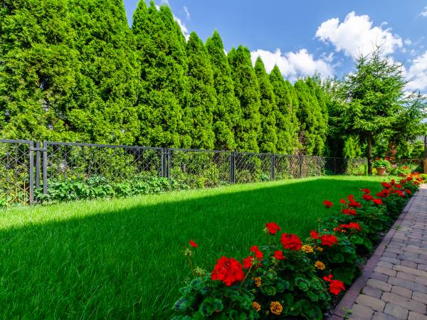 Pokoje z łazienkami Aura