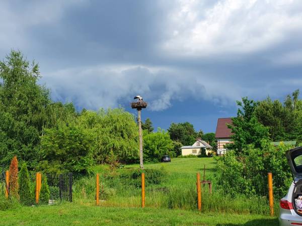 Domki do wynajęcia - Pod Bocianami 